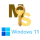 Инструмент для активации операционной системы Windows 11